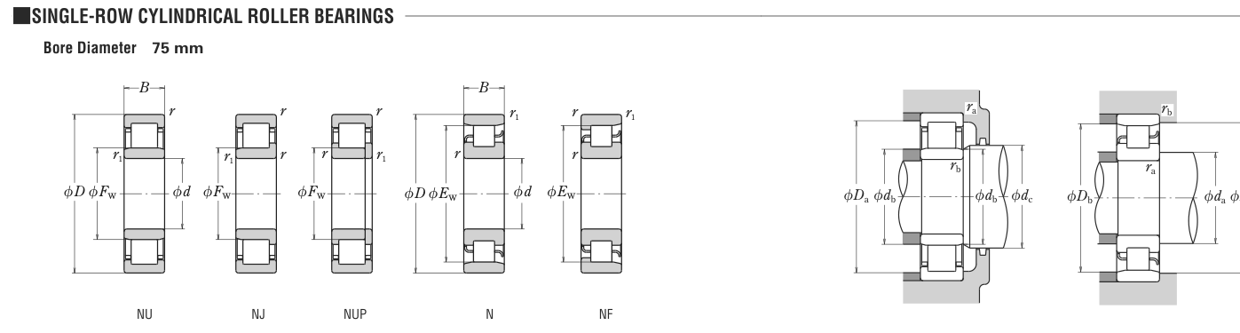 NU2315E NSK Cylindrical Roller bearing catalogue drawing