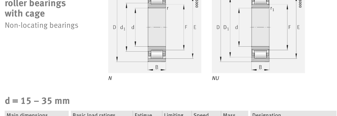 N305-E-XL-TVP2 FAG Cylindrical Roller bearing catalogue drawing