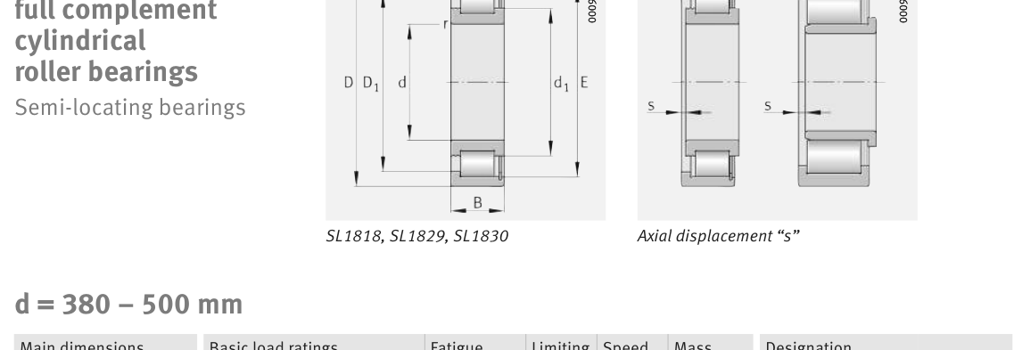 SL181876-E FAG Cylindrical Roller bearing catalogue drawing