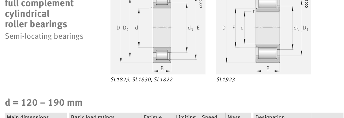 SL182224 FAG Cylindrical Roller bearing catalogue drawing