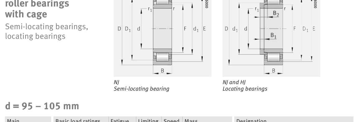 NJ221-E-XL-TVP2 FAG Cylindrical Roller bearing catalogue drawing