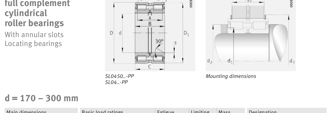 SL04170-D-PP FAG Cylindrical Roller bearing catalogue drawing